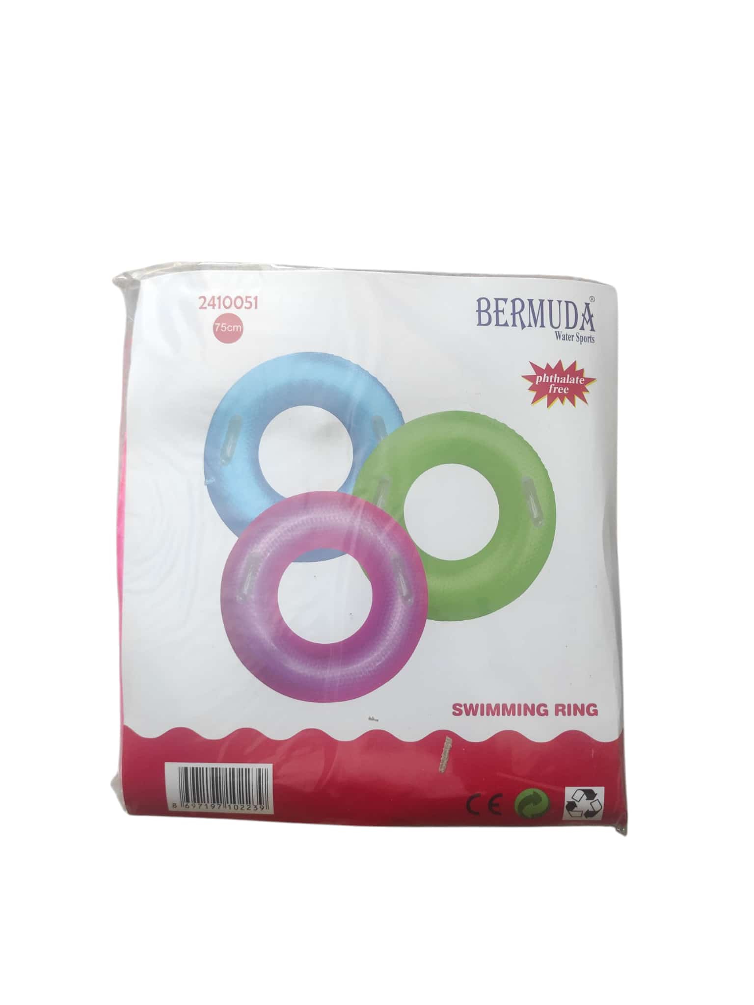 toptan deniz ürünleri deniz simit 75 cm renkli kzl2410051
